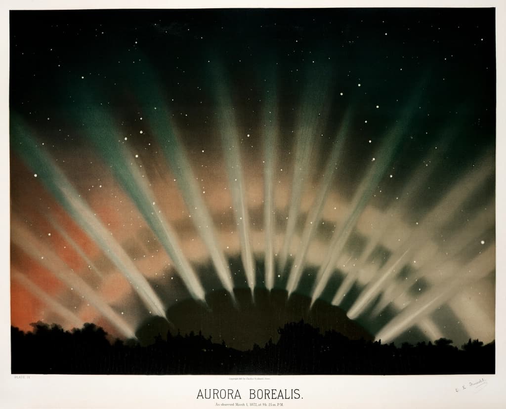 Astronomical plate of an aurora borealis fanning pale rays up from a dark treeline into a starlit sky washed orange near the horizon